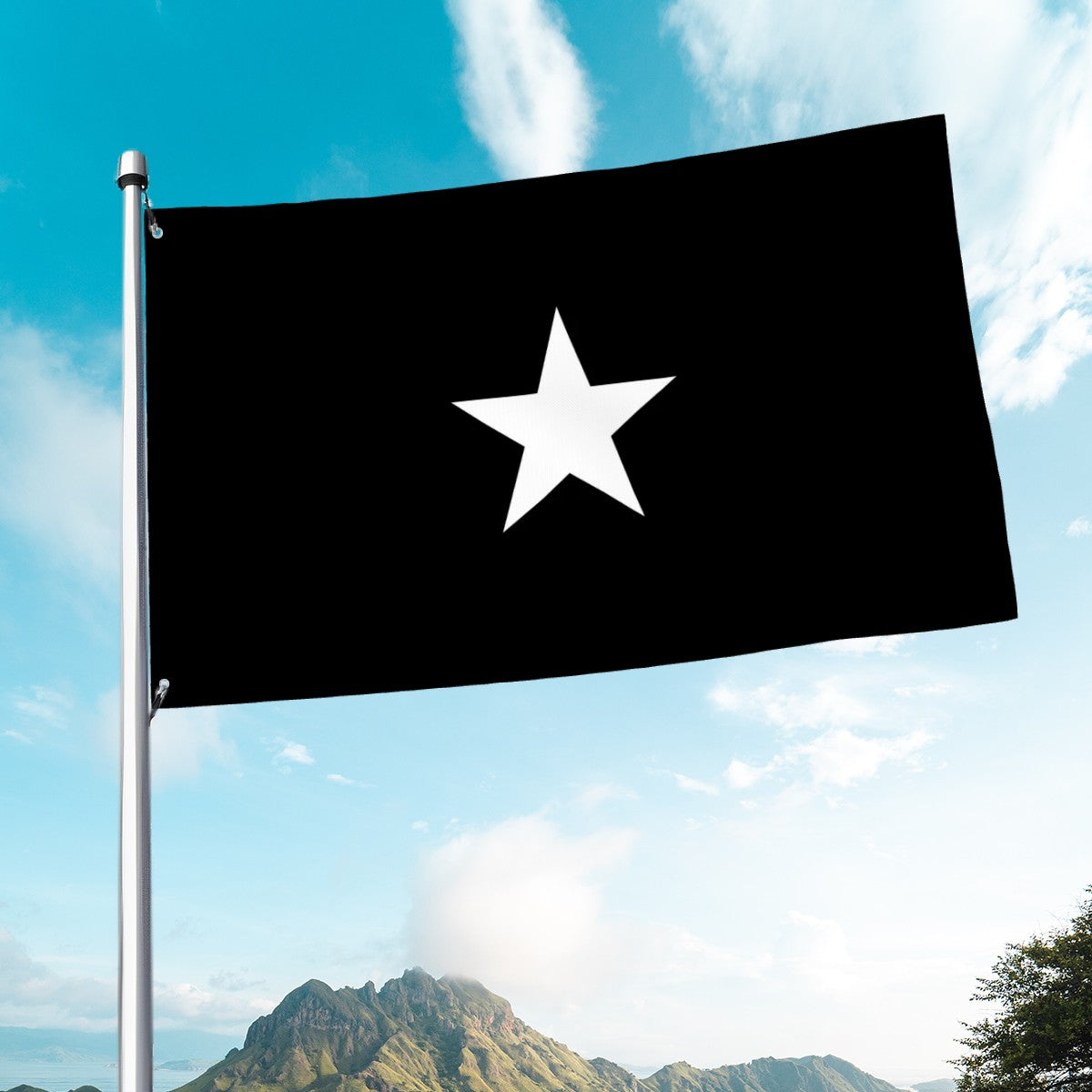 Flag of Somalia - Black and White Islamic Histories