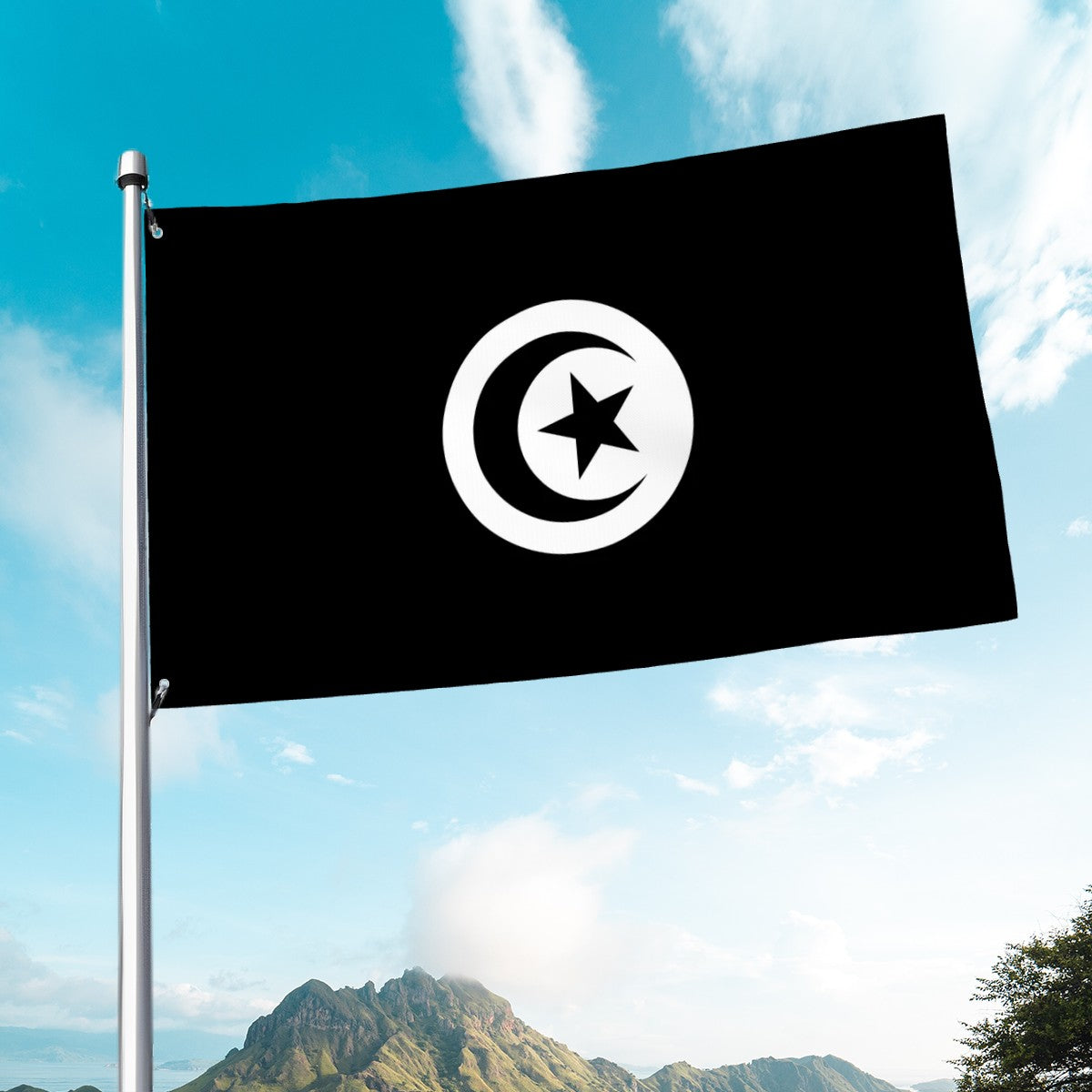 Flag of Tunisia - Black and White