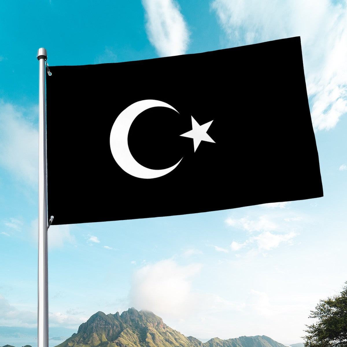 Black Flag of Turkey Islamic Histories