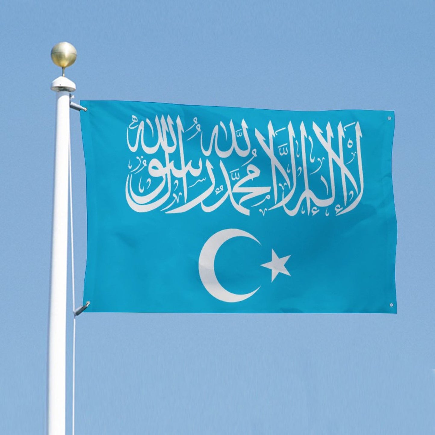 Islamic Flag of Turkistan