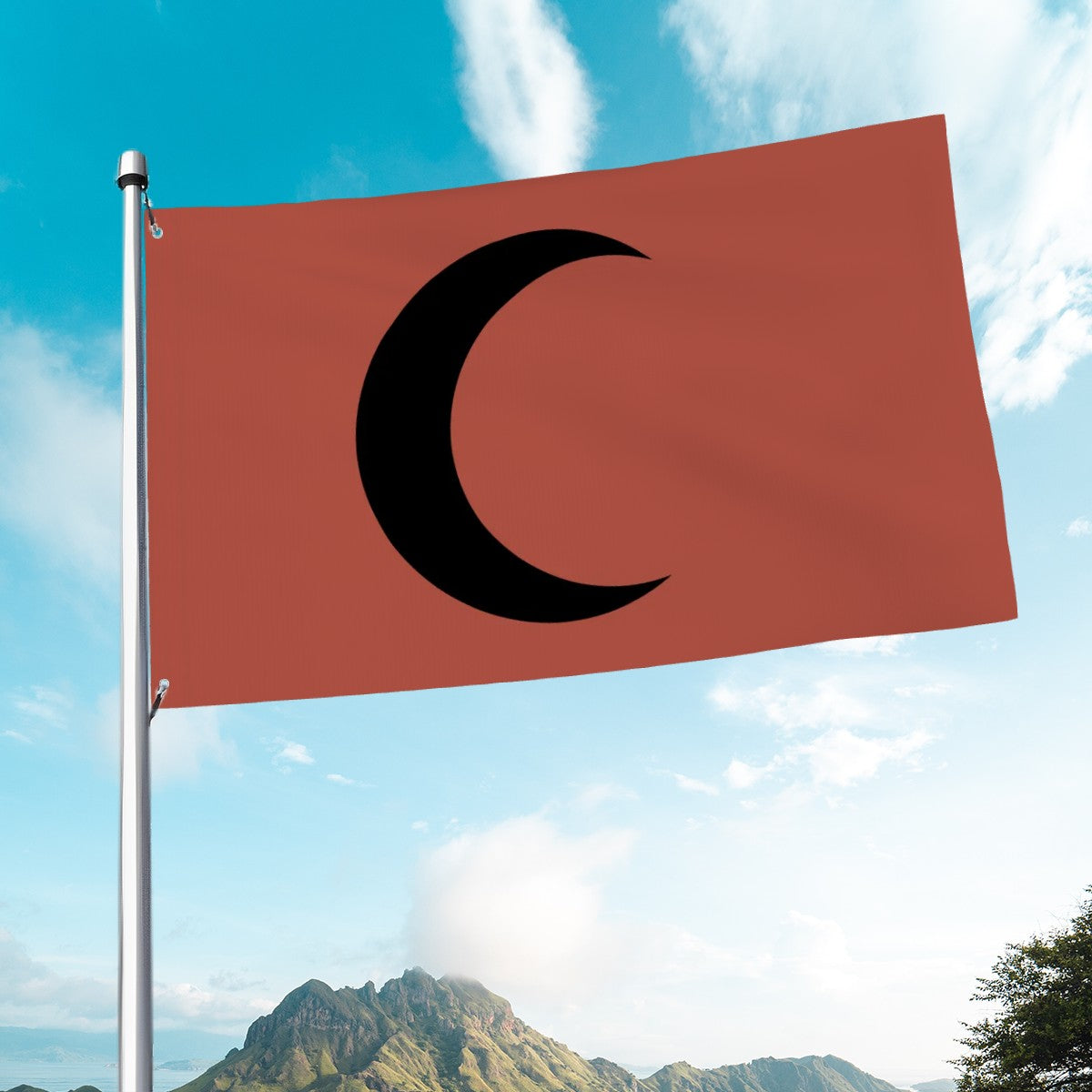 Flag of the Sultanate of Malacca – Malaysia (1402-1511)