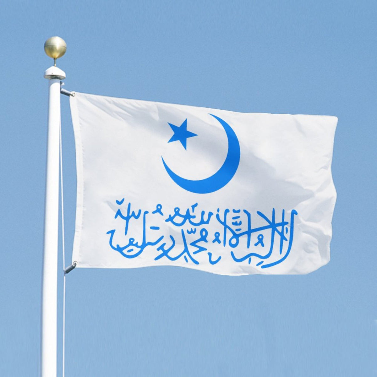 Flag of the First East Turkestan Republic