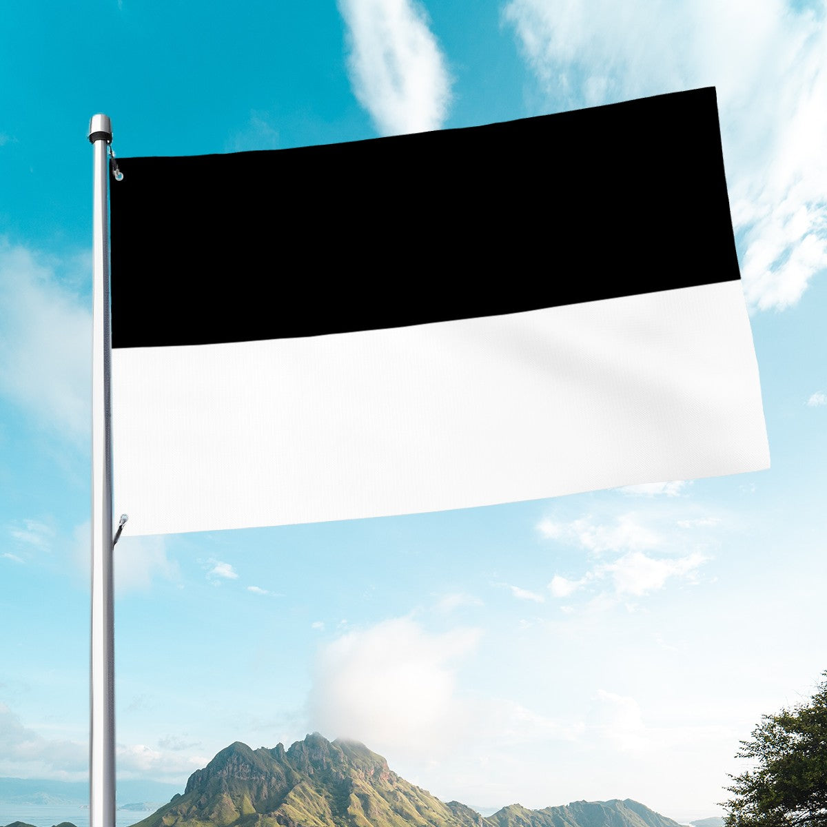 Flag of Indonesia - Black and White Islamic Histories