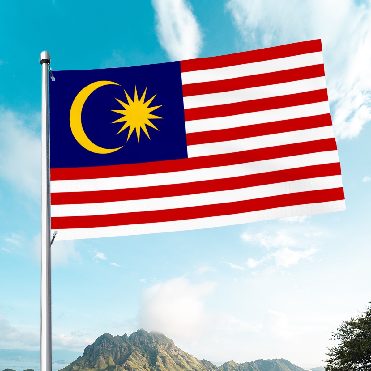 Flag of Malaysia Islamic Histories