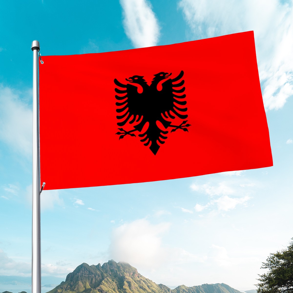 Flag of Albania Islamic Histories