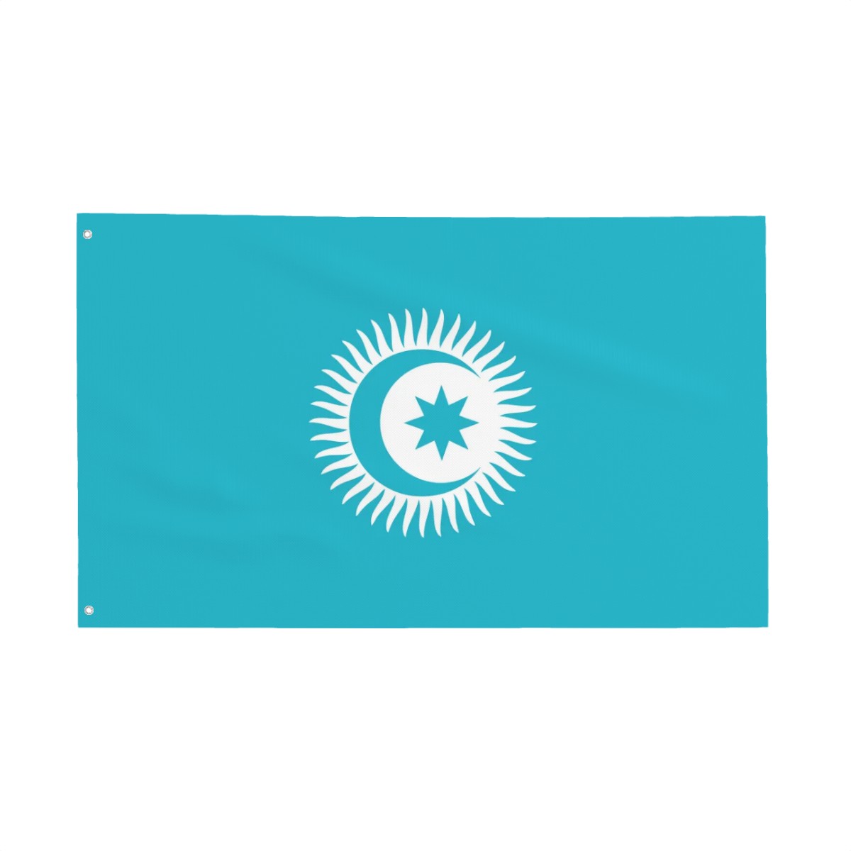 Organization of Turkic States Flag