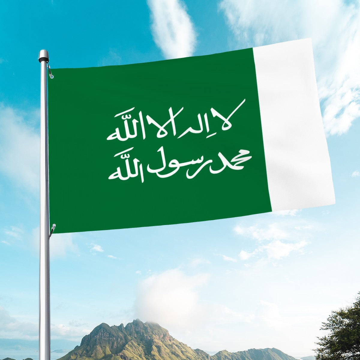 Flag of the First Saudi State (1744-1818)