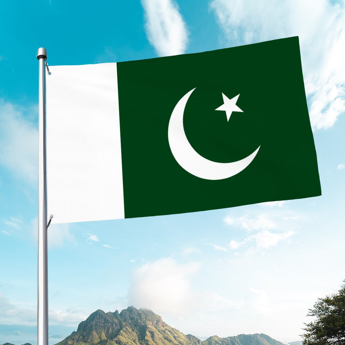 Flag of Pakistan