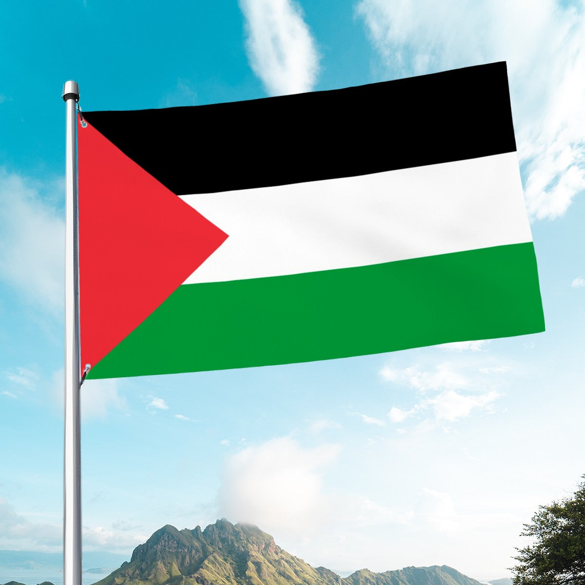 Flag of Palestine Islamic Histories