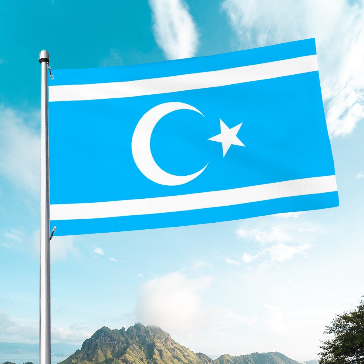 Flag of Iraqi Turkmen