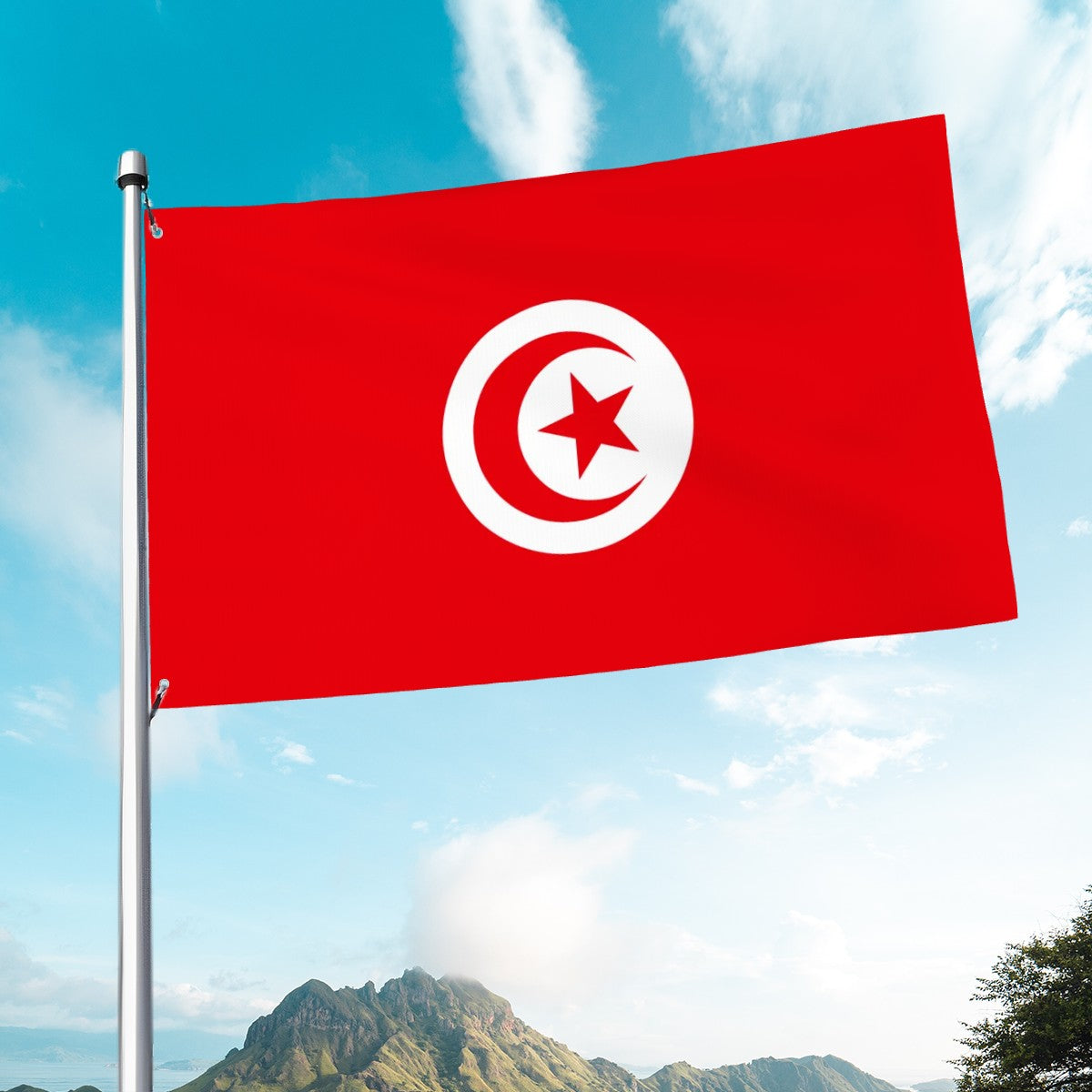 Drapeau de la Tunisie