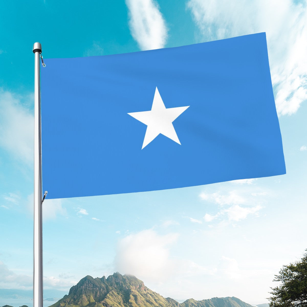 Flag of Somalia Islamic Histories