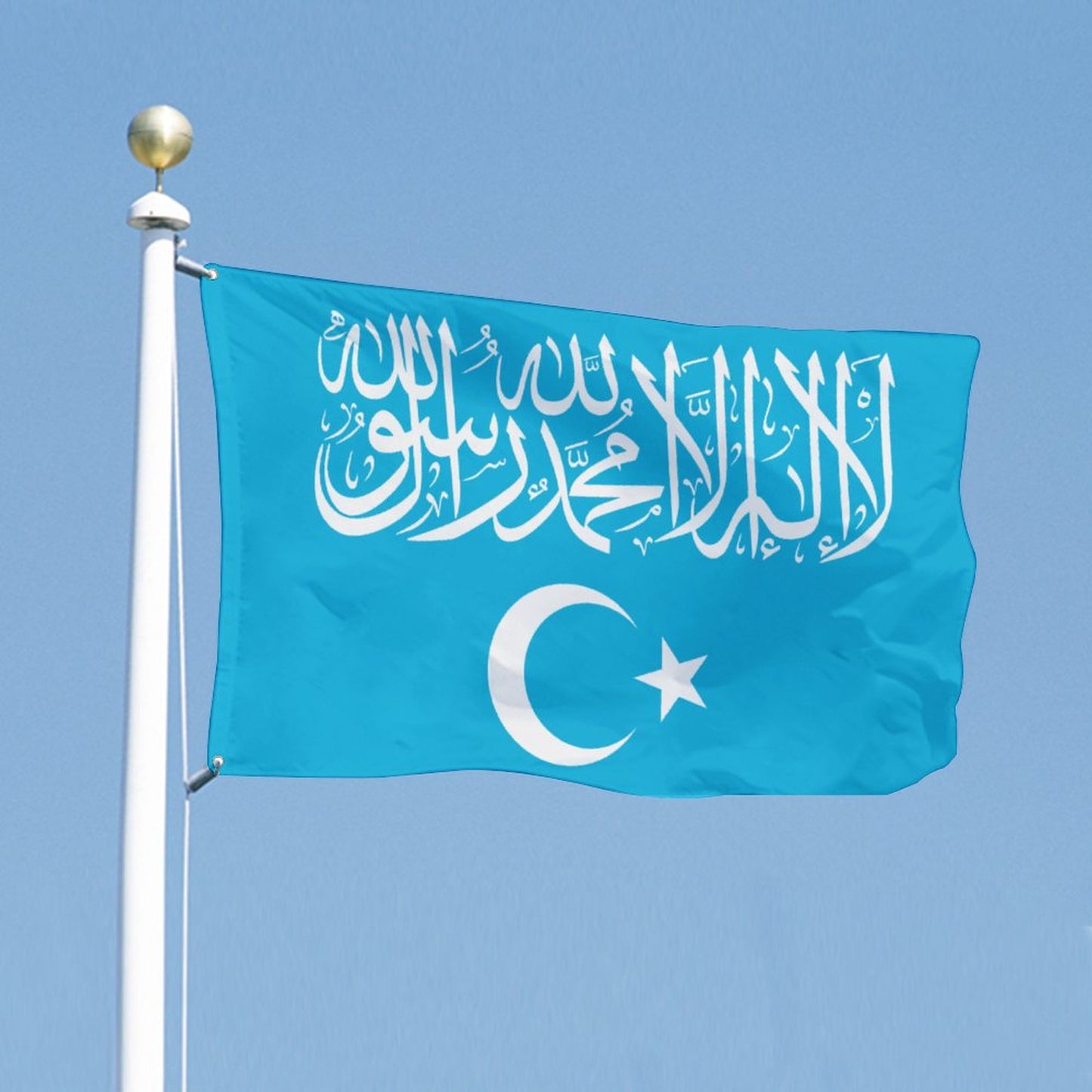 Islamische Flagge Turkistans