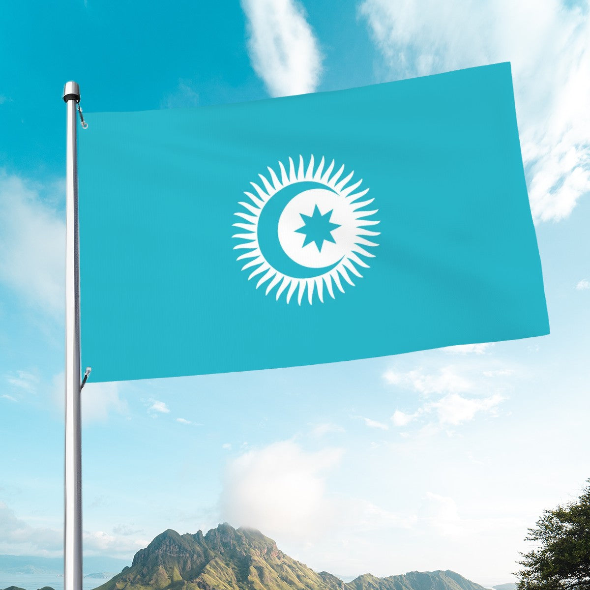 Organization of Turkic States Flag