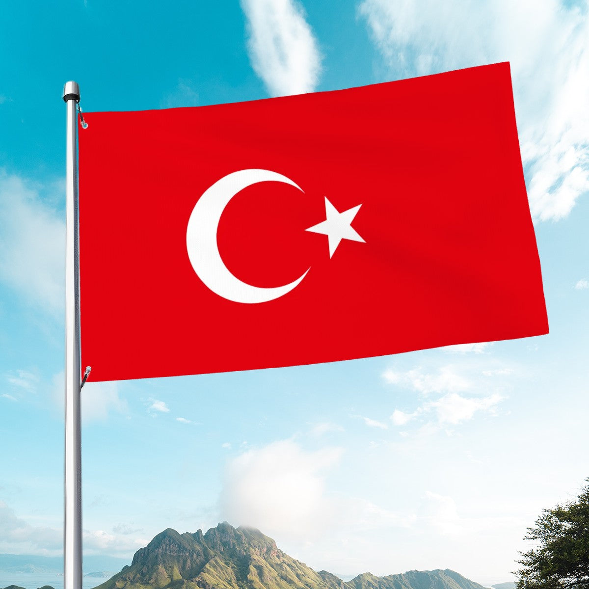 Drapeau de la Turquie