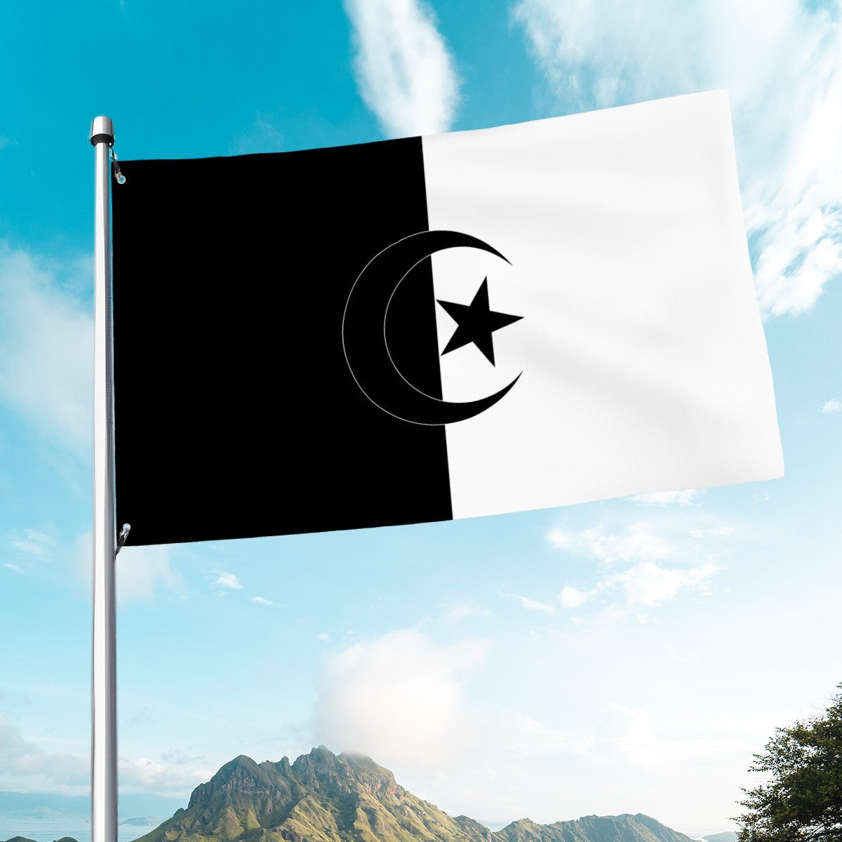 Flag of Algeria - Black and White